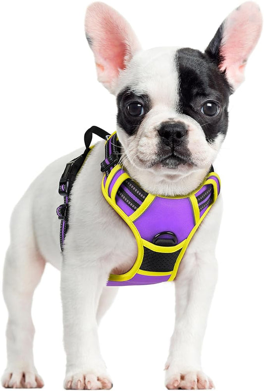rabbitgoo Dog Harness No Pull with 2 Leash Clips, Adjustable Soft Padded, Reflective Oxford No Choke Pet Vest with Easy Control Handle for Small Dogs, Purple & Yellow, S rabbitgoo