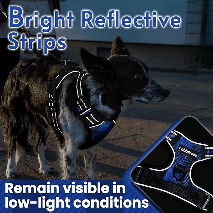 rabbitgoo Dog Harness No Pull with 2 Leash Clips, Adjustable Soft Padded, Reflective Oxford No Choke Pet Vest with Easy Control Handle for Large Dogs, Blue Plaid, L rabbitgoo