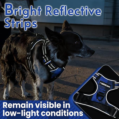 rabbitgoo Dog Harness No Pull with 2 Leash Clips, Adjustable Soft Padded, Reflective Oxford No Choke Pet Vest with Easy Control Handle for Large Dogs, Blue Plaid, L rabbitgoo