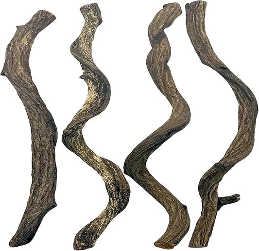 BNOSDM Reptile Forest Climbing Branch Decor Crested Gecko Climb Wood Natural Branches Tree for Snake Frog Chameleon Spider Bearded Dragon Terrarium Habitat Tank Accessories,4PCS BNOSDM