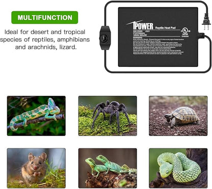iPower 6 by 8 Inch Reptile Heating Pad with Temperature Adjustable Controller Knob, Under Tank Warmer Terrarium Heat Mat for Reptiles and Amphibians iPower