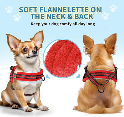 SlowTon No Pull Small Dog Harness and Leash Set, Puppy Soft Vest Harness Neck & Chest Adjustable, Reflective Lightweight Harness & Anti-Twist Pet Lead Combo for Small Medium Dogs (R-Front Clip,XS) SlowTon
