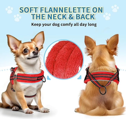 SlowTon No Pull Small Dog Harness and Leash Set, Puppy Soft Vest Harness Neck & Chest Adjustable, Reflective Lightweight Harness & Anti-Twist Pet Lead Combo for Small Medium Dogs (R-Front Clip,XXS) SlowTon