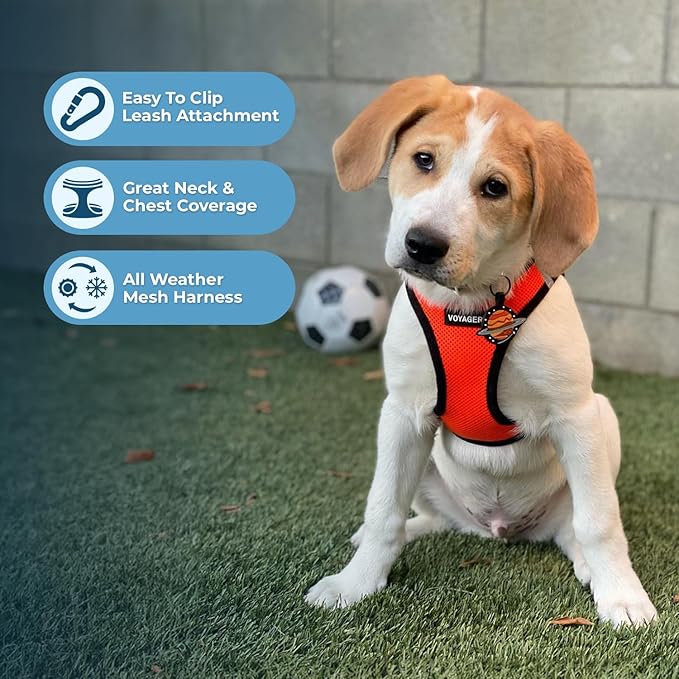 Voyager Step-In Air Dog Harness - All Weather Mesh, Reflective, No Pull Harness for Small, Medium Dogs, Cats - Secure with Hook & Loop Fastener, Buckle, Double D-Rings - Orange/Black Trim, L BestPetSuppliesLLC