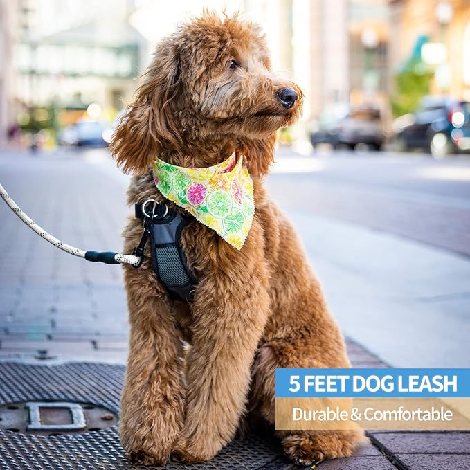 BAAPET 2/4/5/6 FT Dog Leash with Comfortable Padded Handle and Highly Reflective Threads for Small Medium and Large Dogs (5FT-1/2'', Silver) BAAPET