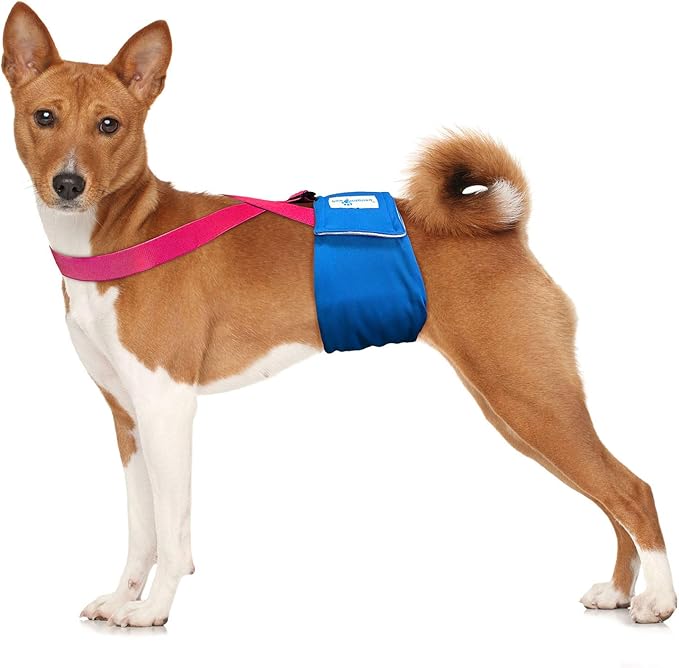Paw Inspired Dog Diaper Suspenders with Velcro Fasteners | Stretchy Adjustable Suspenders for Female and Male Disposable and Washable Diapers | Fits Small, Medium and Large Size Pets (S/M, Pink) - PAWPICO