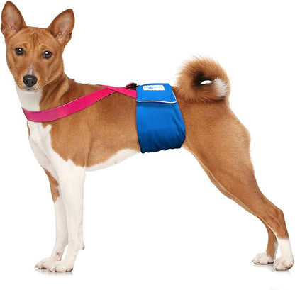 Paw Inspired Dog Diaper Suspenders with Velcro Fasteners | Stretchy Adjustable Suspenders for Female and Male Disposable and Washable Diapers | Fits Small, Medium and Large Size Pets (S/M, Pink) - PAWPICO