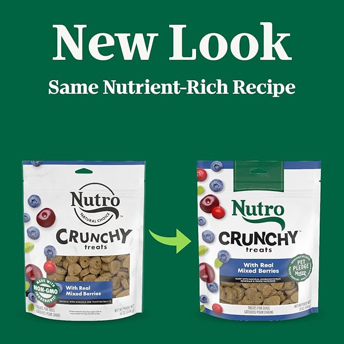 Nutro Crunchy Dog Treats With Real Mixed Berries, 16 oz. Bag - PAWPICO