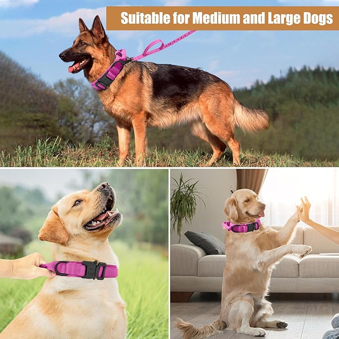 Tactical Dog Collar Leash Set, Adjustable Military Training Nylon Collar Dog Training with Control Handleand Metal Buckle, Dog Collar for Medium Large Dogs (Pink,M) ANTSWISH