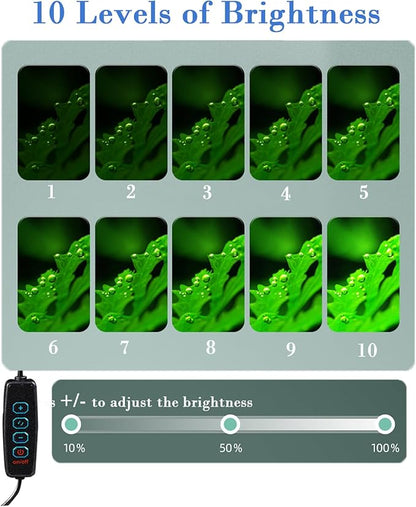 Small Aquarium Light Clip on Fish Tank Light LED USB Full Spectrum Light with Dimmer Multi-Color White+Blue+Red for 1-5 Gal Betta Tank (Adapter NoT Included, No Timer) PUEUTU