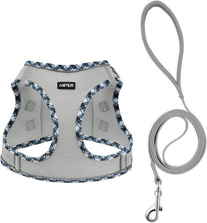 AMTOR Small Dog Harness with Leash Set, No Escape Easy Walk Puppy Harnesses for Training Walking, Step-in Reflective Soft Dogs Vest for XS S Medium Extra-Small Large Sized Dog(Grey) - PAWPICO