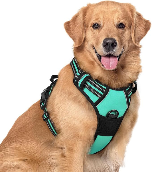 rabbitgoo Dog Harness No Pull with 2 Leash Clips, Adjustable Soft Padded, Reflective Oxford No Choke Pet Vest with Easy Control Handle for Large Dogs, Turquoise, XL rabbitgoo