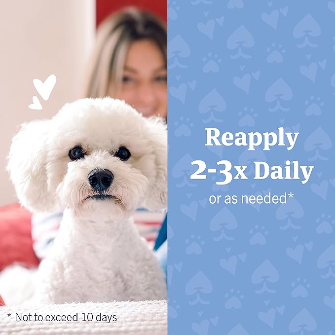 PetArmor Hydrocortisone Spray for Dogs & Cats, 4 oz PetArmor