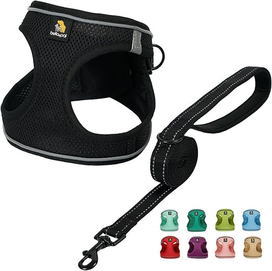 BELLA & PAL Puppy Harness with Leash Set, Dog Harness for Small Dogs No Pull, Dog Leash for Small Dogs, Step in Harness for Extra Small Dogs, Black Harness, XS BELLAPAL