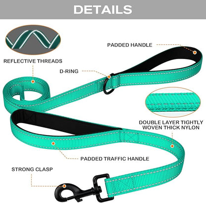 Joytale Dog Leash Heavy Duty for Large Dogs That Pull, Double Handle for Traffic Control, Double-Sided Reflective Leashes for Large Medium Dogs Night Safety, 6FT, Teal Joytale
