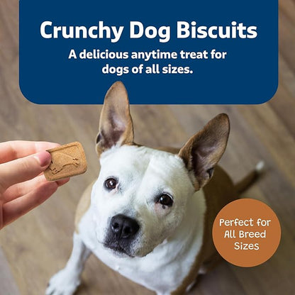 Blue Buffalo Health Bars Crunchy Dog Biscuits, Oven-Baked With Natural Ingredients, Pumpkin & Cinnamon, 16-oz Bag - PAWPICO