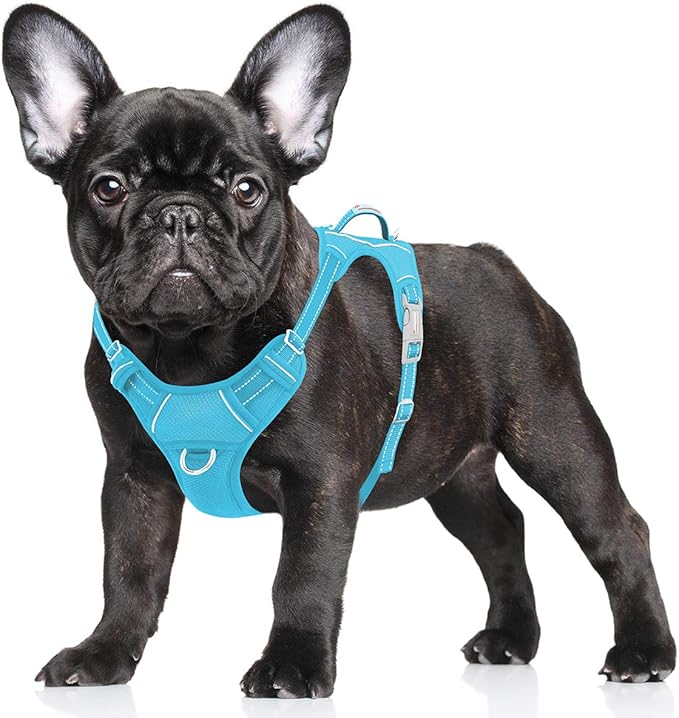 BARKBAY No Pull Dog Harness Large Reflective Dog Harness with Front Clip and Easy Control Handle for Walking Training Running with ID tag Pocket(Blue,S) BARKBAY