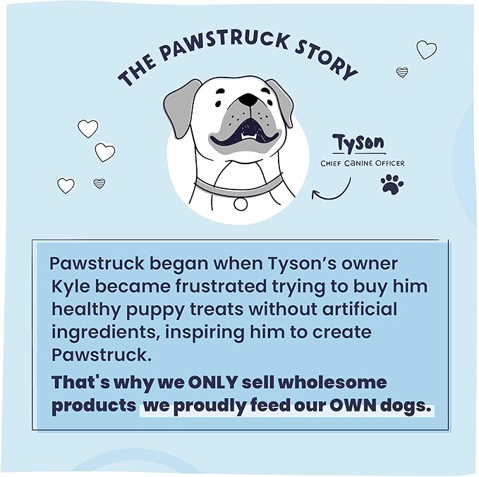 Pawstruck All-Natural 12" Bully Sticks for Dogs - Best Long Lasting, Rawhide Free, Low Odor & Grain Free Dental Chew Treat - Healthy Single Ingredient 100% Real Beef - 1 lb. Bag - PAWPICO