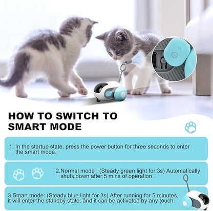 Turbo Tail 2.0 Cat Toy, Remote Control Cat Toy with 2-Speed Adjustment, Interactive Cat Toys for Indoor Cats, Rechargeable Automatic Cat Toys, Moving Cat Toy for Bored Indoor Adult Cat (Blue) - PAWPICO
