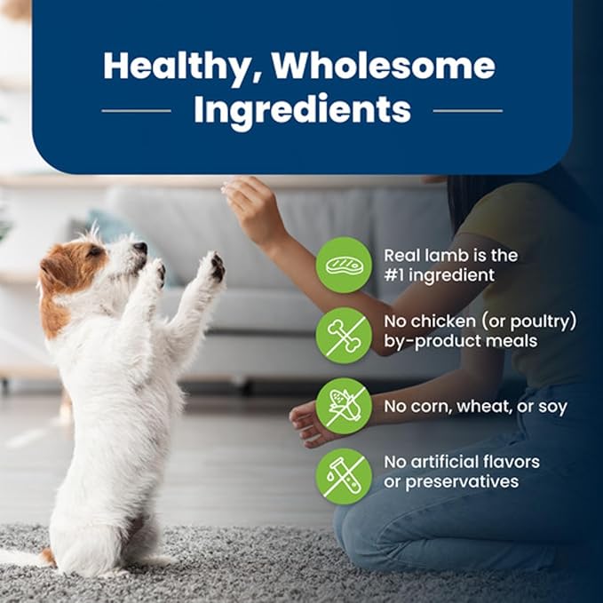 Blue Buffalo Life Protection Formula Adult Small Breed Dry Dog Food, Supports High Energy Needs, Made with Natural Ingredients, Lamb & Brown Rice Recipe, 5-lb. Bag - PAWPICO