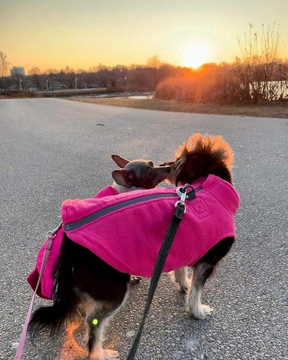 Gooby Zip Up Fleece Dog Sweater - Black, X-Small - Warm Pullover Fleece Step-in Dog Jacket with Dual D Ring Leash - Winter Small Dog Sweater - Dog Clothes for Small Dogs Boy and Medium Dogs - PAWPICO