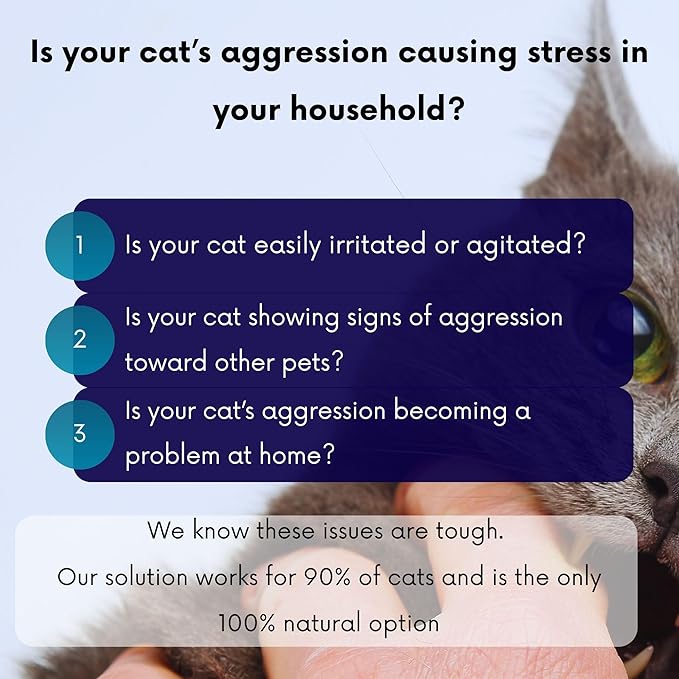 Cat Aggression Relief Calming Collar with Essential Oils, Natural Rock Diffuser, Breakaway Pet-Safe Collar for Cat Anxiety Felief, Vet-Approved (Myrrh) ROLLERPAWSTER