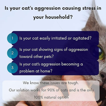 Cat Aggression Relief Calming Collar with Essential Oils, Natural Rock Diffuser, Breakaway Pet-Safe Collar for Cat Anxiety Felief, Vet-Approved (Myrrh) ROLLERPAWSTER