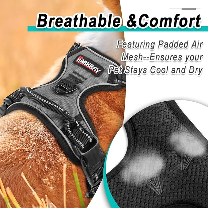 BARKBAY Dog Harness No Pull for Small Dogs - Adjustable, Reflective, Comfortable, No Choke, Heavy-Duty - Perfect for Outdoor Training, Walking, and Hiking - Strong & Durable - S & Dark Grey BARKBAY