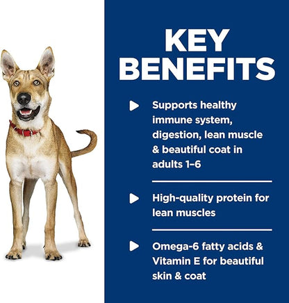 Hill's Science Diet Adult 1-6, Adult 1-6 Premium Nutrition, Wet Dog Food, Chicken & Barley Loaf, 13 oz Can, Case of 12 - PAWPICO