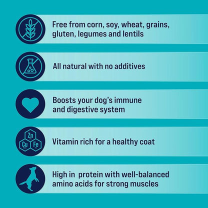 Stewart Freeze Dried Dog Treats, Beef Liver, 16 oz, Grain Free & Gluten Free, Resealable Pouch, Single Ingredient, Training Treat in Beef Liver, Salmon, Chicken Liver & Chicken Breast 4, 14, 21 oz - PAWPICO