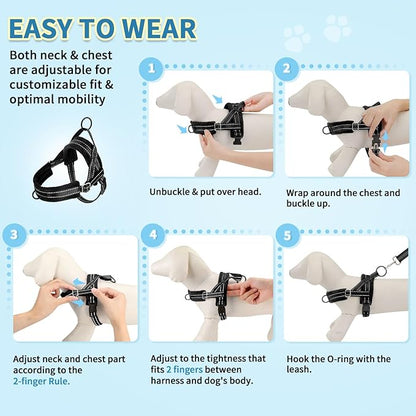 SlowTon No Pull Small Dog Harness and Leash Set, Puppy Soft Vest Harness Neck & Chest Adjustable, Reflective Lightweight Harness & Anti-Twist Pet Lead Combo for Small Medium Dogs (B-Front Clip,XXS) SlowTon