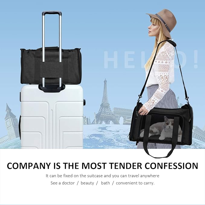 Henkelion Large Soft Sided Cat and Pet Carrier for Cats and Puppies up to 25Lbs - Collapsible, Waterproof Travel Carrier - Black - PAWPICO