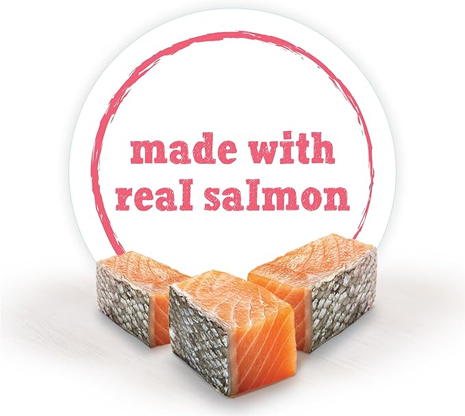 Purina Beneful Small Breed Wet Dog Food With Gravy, IncrediBites with Real Salmon - (8 Packs of 3) 3 oz. Cans - PAWPICO