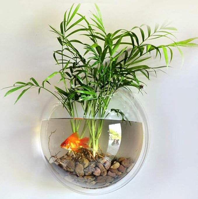 Hanging Wall Mounted Fish Bowl Betta Tank Aquarium Wall Decor Plant Fish Bubble - Clear (Medium) Sweetsea