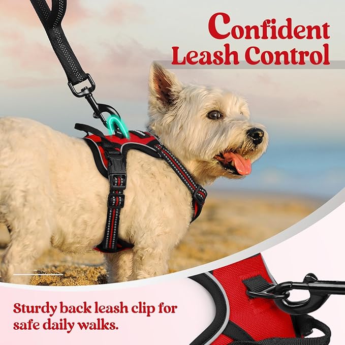 rabbitgoo Dog Harness No Pull with 2 Leash Clips, Adjustable Soft Padded, Reflective Oxford No Choke Pet Vest with Easy Control Handle for Puppy, Red,XS rabbitgoo