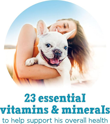 Purina Beneful Small Breed Wet Dog Food With Gravy, IncrediBites with Real Salmon - (8 Packs of 3) 3 oz. Cans - PAWPICO