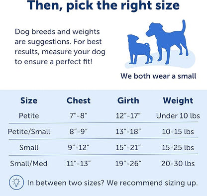PetSafe Easy Walk No-Pull Dog Harness - The Ultimate Harness to Help Stop Pulling - Take Control & Teach Better Leash Manners - Helps Prevent Pets Pulling on Walks, Small/Medium, Black/Silver PetSafe
