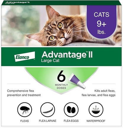 Advantage II Large Cat Vet-Recommended Flea Treatment & Prevention | Cats Over 9 lbs. | 6-Month Supply Advantage
