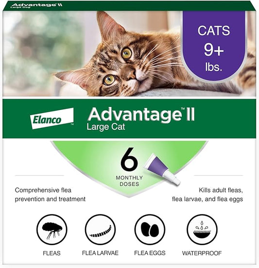 Advantage II Large Cat Vet-Recommended Flea Treatment & Prevention | Cats Over 9 lbs. | 6-Month Supply Advantage