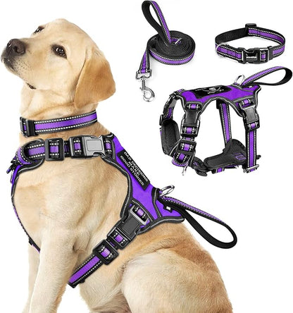 WINSEE Pet Harness Collar and Leash Set, All-in-one Reflective Dog Harness No Pull with Adjustable Buckles for Puppies, Small, Medium, Large, and Extra-Large Dogs (Large, Purple) WINSEE