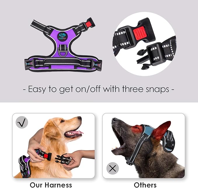 PHOEPET No Pull Dog Harnesses for Small Dogs Reflective Adjustable Front Clip Vest with Handle 2 Metal Rings 3 Buckles [Easy to Put on & Take Off](XS, Purple) PHOEPET