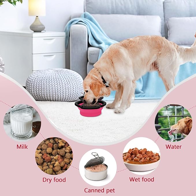 Collapsible Silicone Cat and Dog Travel Bowls,2 in 1 Foldable Pet Feeding and Watering Dish for Walking Camping Hiking with Carabiner (Rose Red) - PAWPICO