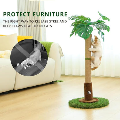 Cat Scratching Post for Indoor Cats and Kitten - 35.43" Tall Cat Scratching Post with Sisal Rope,Palm Tree Cat Scratch Post with Hanging Ball - PAWPICO