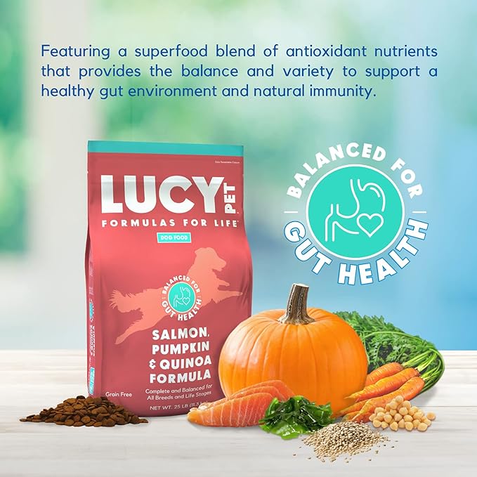 Lucy Pet Formulas for Life Salmon, Pumpkin, & Quinoa Dry Dog Food, All Life Stages, Digestive Health, Sensitive Stomach & Skin, 25lb bag - PAWPICO