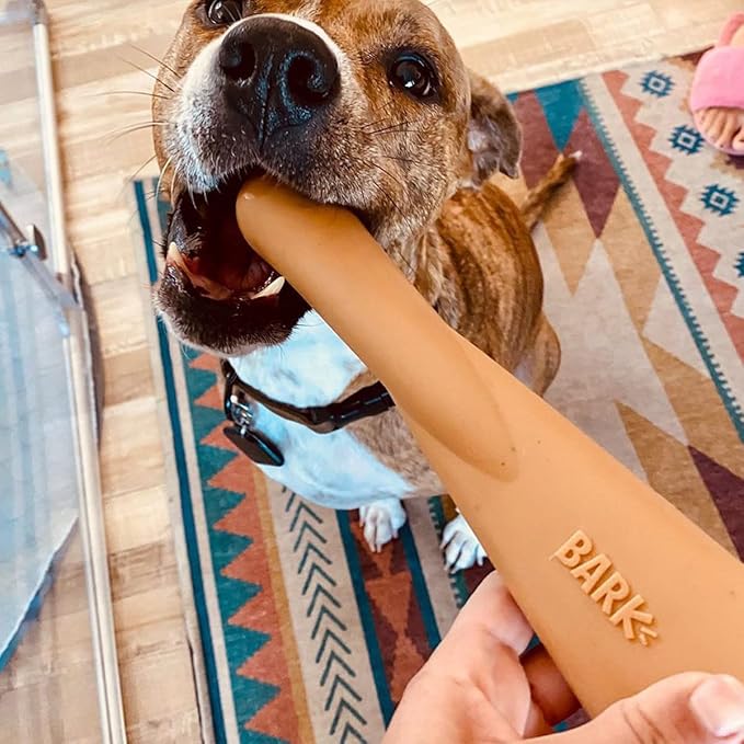 Barkbox Super Chewer Tough Dog Chew Toys for Aggressive Chewers, Dental Stimulating (PB Bone - Small) - PAWPICO