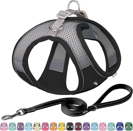 AIITLE Dog Harness, Spring No-Pull Cat Harness with a Leash, Adjustable Reflective Dog Vest, Cat Harness Escape Proof, Outdoor Walking, Camping for Extra Small Dogs and House Cats Black XXXS AIITLE-FORPETSBETTERLIFE