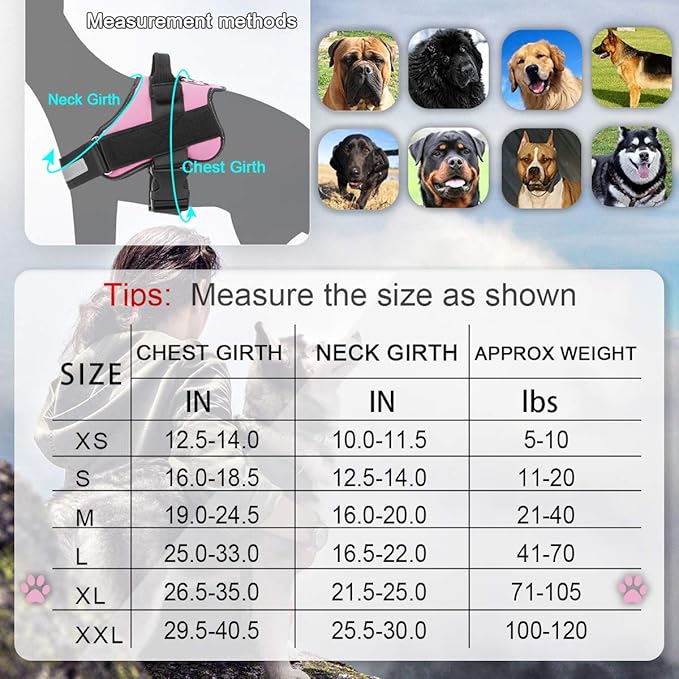 Bolux Dog Harness, No-Pull Reflective Dog Vest, Breathable Adjustable Pet Harness with Handle for Outdoor Walking - No More Pulling, Tugging or Choking (Pink, XL) Bolux