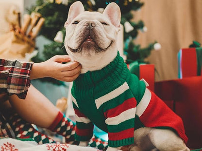 Dog Christmas Sweater for X-Large Size Dog - Puppy Gift Medium Large Warm Santa Clothes in Winter, Turtleneck Pullover Design for Boy Girl Pet, Doggies, Cat, Weiner Bulldog Beagles(XL, Xmas) - PAWPICO