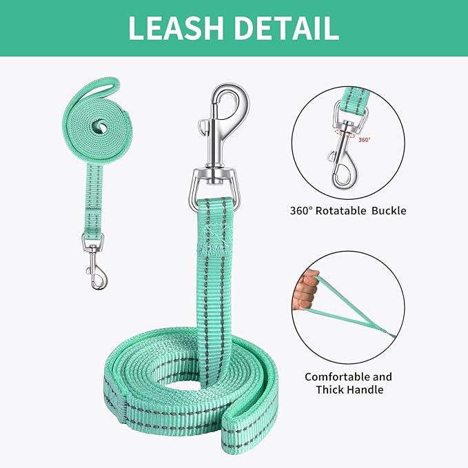 AMTOR Small Dog Harness with Leash Set, No Escape Easy Walk Puppy Harnesses for Training Walking, Step-in Reflective Soft Dogs Vest for XS S Medium Extra-Small Large Sized Dog(Green,XXXS) - PAWPICO