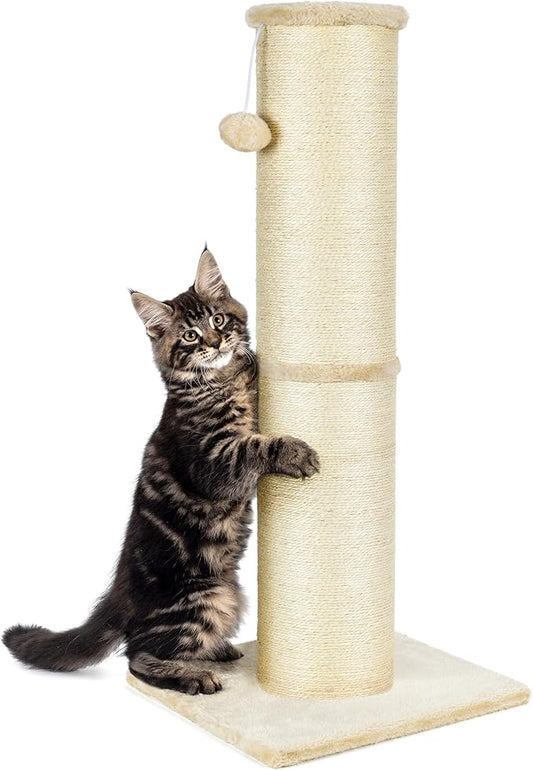 PAWSCRAT Cat Scratching Post 32 Inch High, 5.5 Inch Large Diameter Natural Sisal Cat Scratch Post, Scratch-Resistant and Durable Tall Cat Scratcher for Indoor Cats, Protect Your Furniture, Beige - PAWPICO